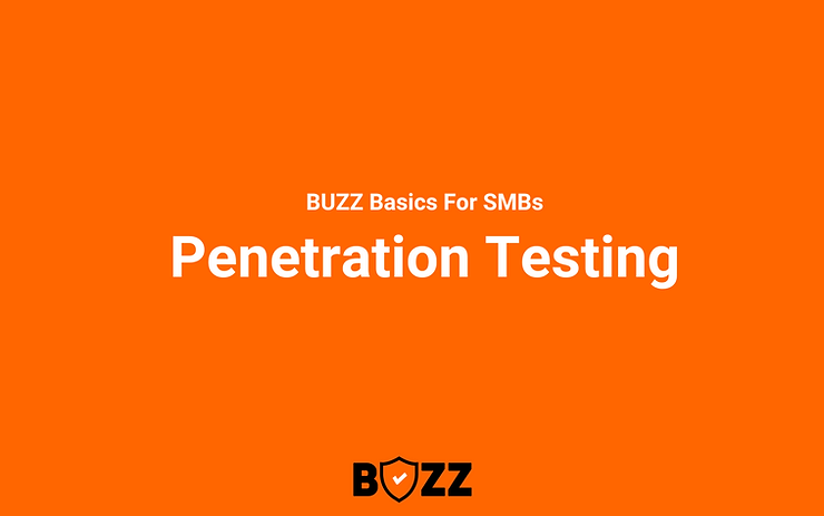 Penetration Testing for Small Business : Benefits and Essentials